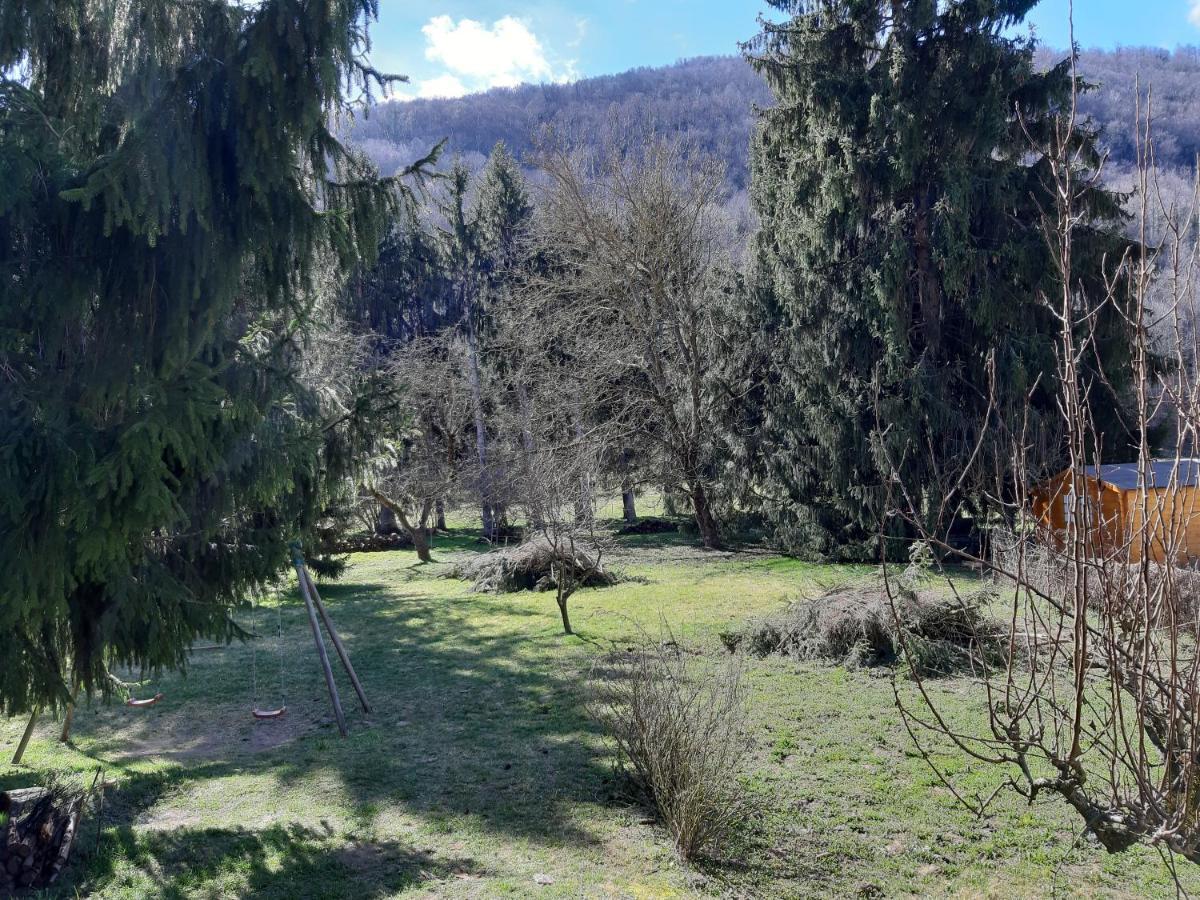 Chalet Tout Confort Proche D Ax 3 Domaines Vebre Buitenkant foto